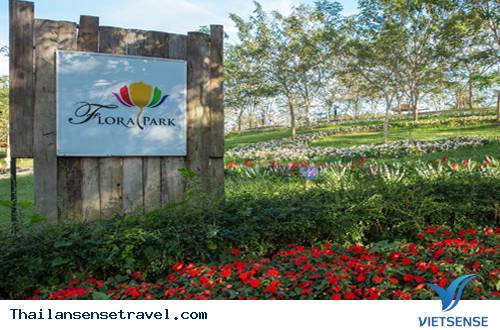 Điểm nổi bật - Ảnh 1