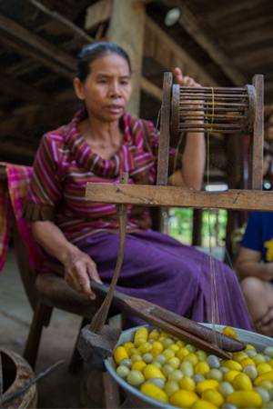 Tổng quan nông trại Jim Thompson và công viên Flora Wang Nam Khiao - Ảnh 3