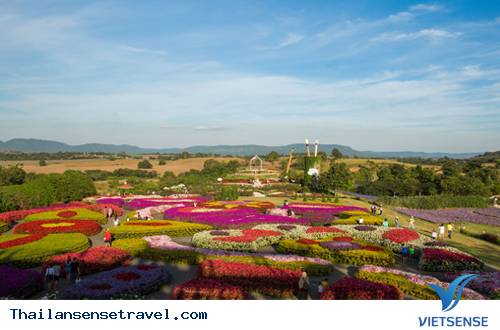 Điểm nổi bật - Ảnh 2