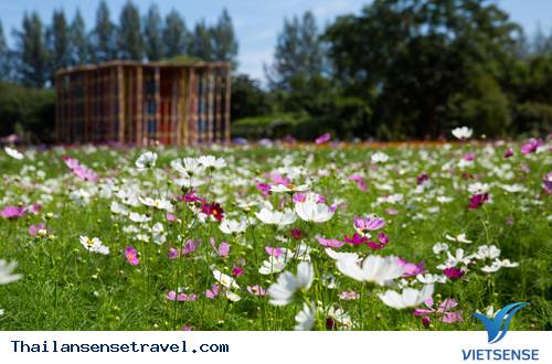 Tổng quan nông trại Jim Thompson và công viên Flora Wang Nam Khiao - Ảnh 2