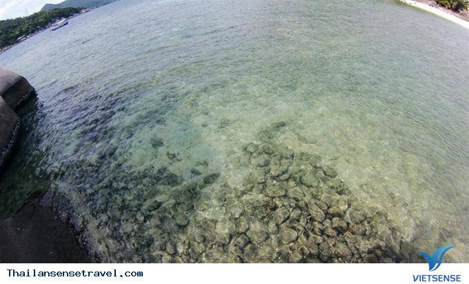 Đường đi bằng ván gỗ trên đảo Nang Yuan