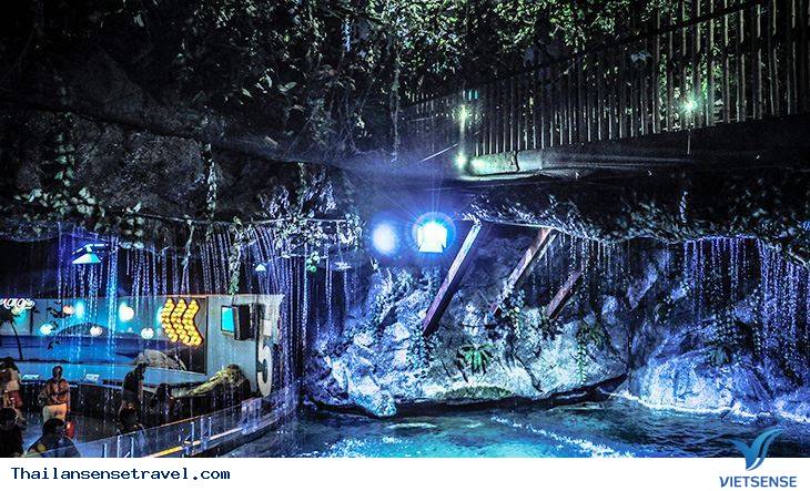 Thủy cung Sea Life Thủy cung Sea Life