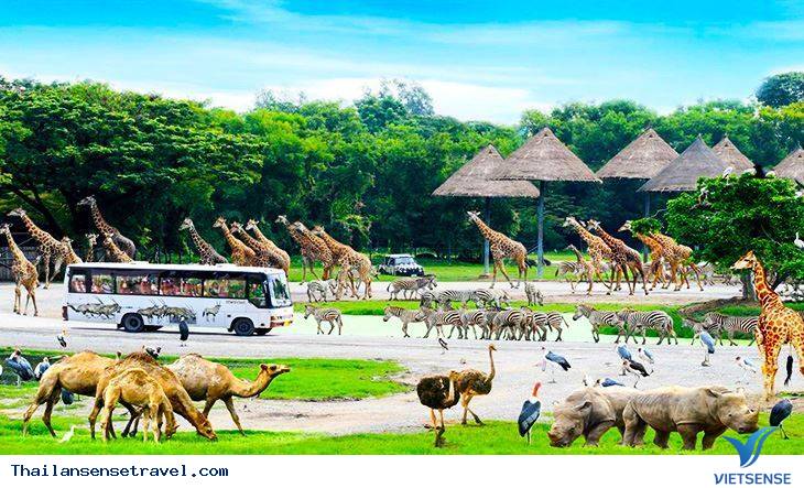 Safari World Safari World