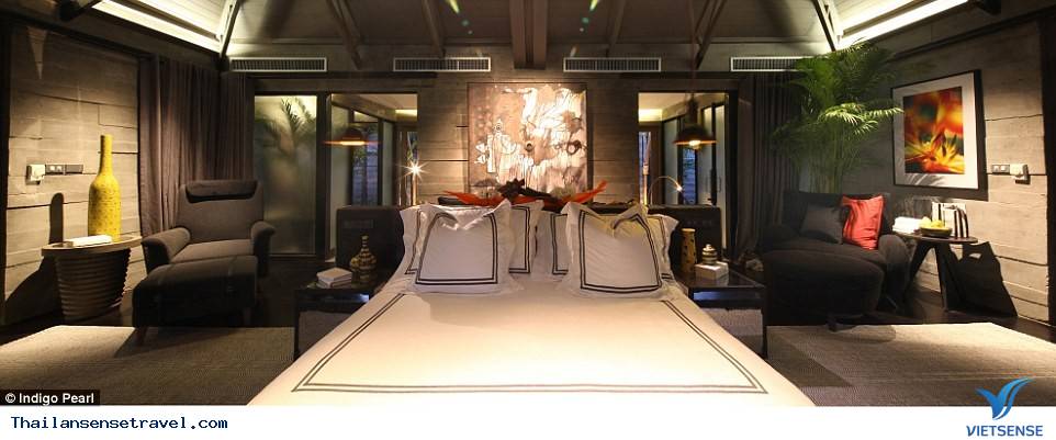 Indigo Pearl - Ảnh 5 Indigo Pearl - Ảnh 5