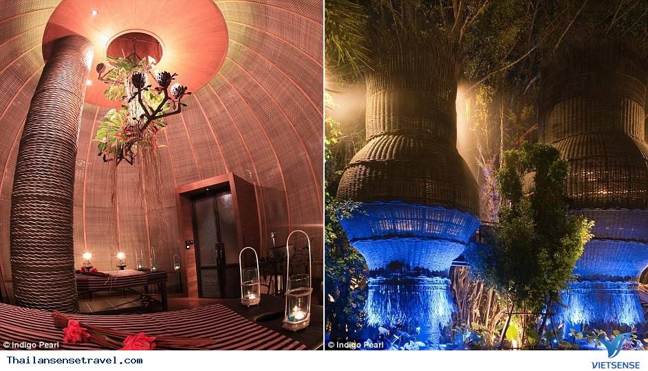 Indigo Pearl - Ảnh 6 Indigo Pearl - Ảnh 6