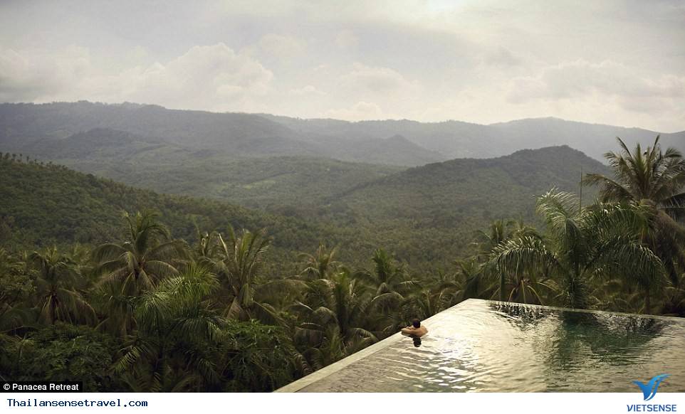 Beyonce và Jay Z - Ảnh 1 Beyonce và Jay Z - Ảnh 1