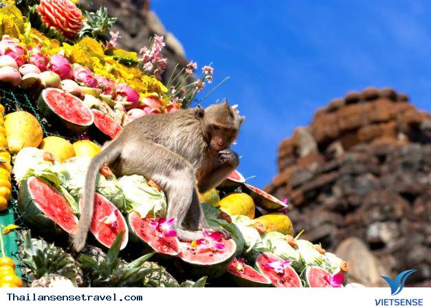 Lễ hội buffet cho Khỉ Lễ hội buffet cho Khỉ