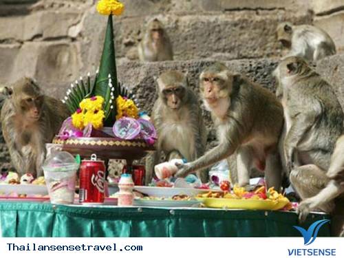 Lễ hội buffet dành cho khỉ