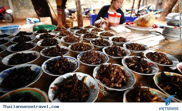 Các món côn trùng