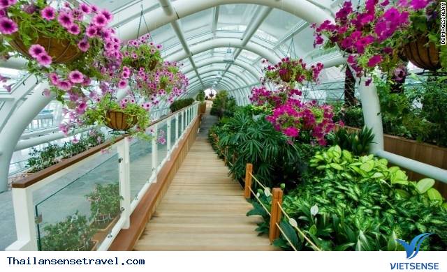 Sân bay quốc tế Incheon (Seoul - Hàn Quốc) - Ảnh 2 Sân bay quốc tế Incheon (Seoul - Hàn Quốc) - Ảnh 2