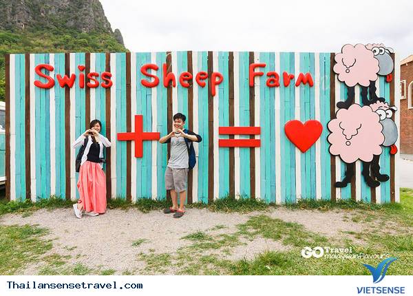 Swiss Sheep Farm - Ảnh 3 Swiss Sheep Farm - Ảnh 3