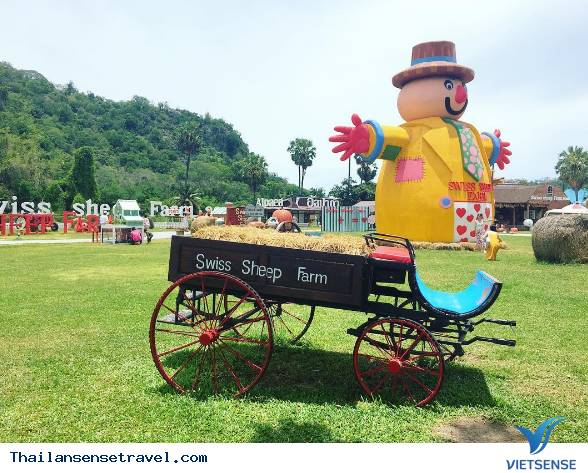 Swiss Sheep Farm - Ảnh 2 Swiss Sheep Farm - Ảnh 2