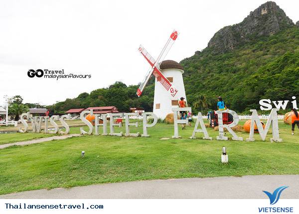 Swiss Sheep Farm - Ảnh 1 Swiss Sheep Farm - Ảnh 1