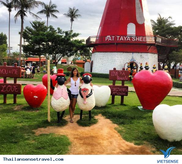 Pattaya Sheep Farm - Ảnh 2 Pattaya Sheep Farm - Ảnh 2