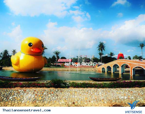 Pattaya Sheep Farm - Ảnh 3 Pattaya Sheep Farm - Ảnh 3