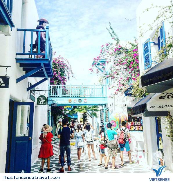 Swiss Sheep Farm - Ảnh 5 Swiss Sheep Farm - Ảnh 5