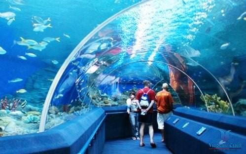 Bảo tàng Ripley’s Believe It Or Not