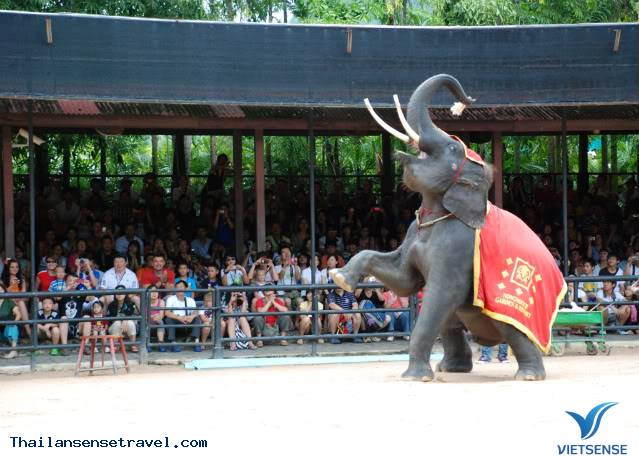 Ngày 2: Pattaya - Ảnh 6