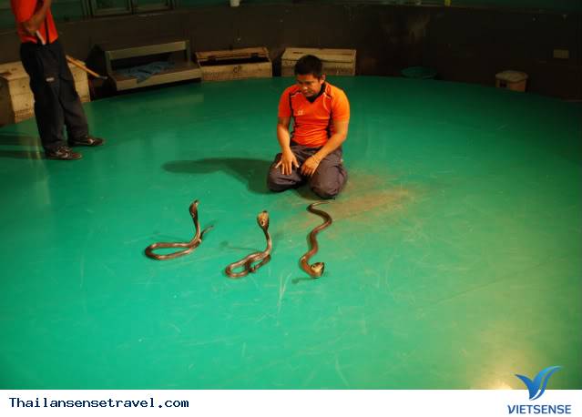 Ngày 3: Pattaya- Bangkok - Ảnh 2