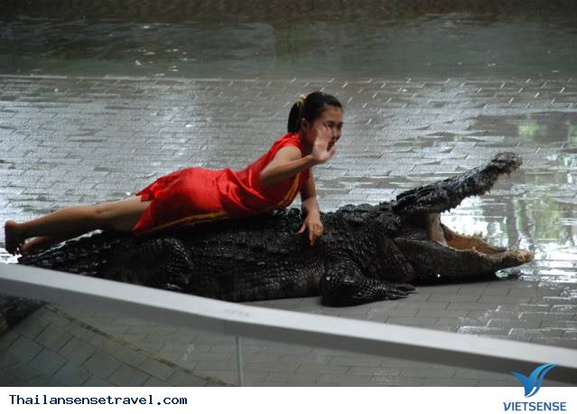 Ngày 1: Hà Nội - Bangkok - Pattaya - Ảnh 5