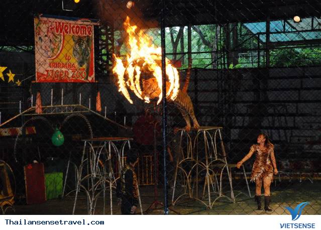 Ngày 1: Hà Nội - Bangkok - Pattaya - Ảnh 4