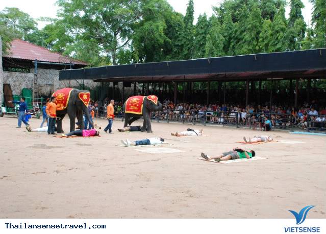 Ngày 2: Pattaya - Ảnh 7