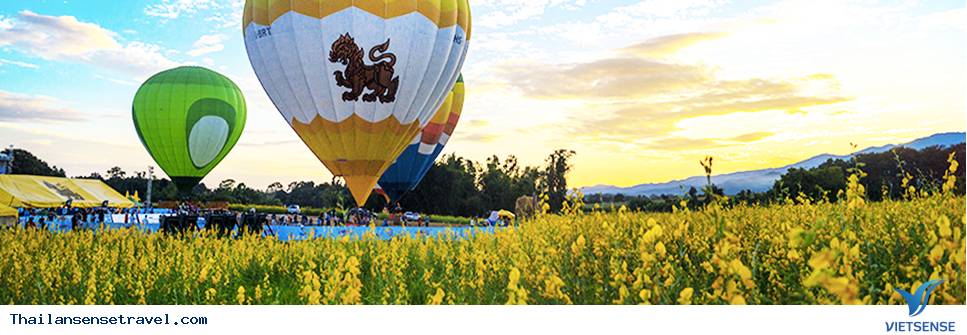 Singha bình dị mà không nhàm chán - Ảnh 3 Singha bình dị mà không nhàm chán - Ảnh 3