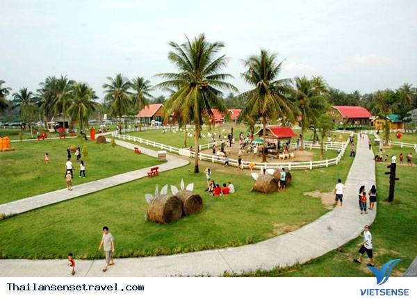 Pattaya Sheep Farm - Ảnh 1