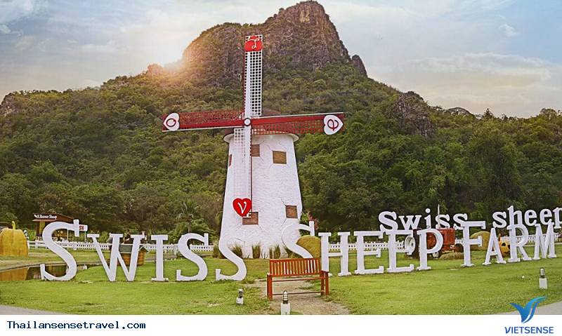 Swiss Sheep Farm