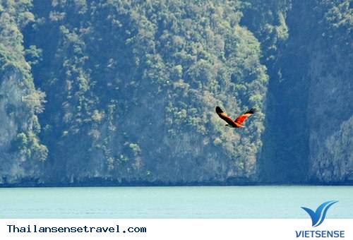 Thiên nhiên hoang sơ trên Phuket - Ảnh 8