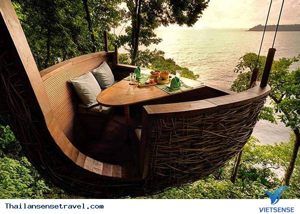 Trải nghiệm cảm giác mới lạ từ nhà hàng tổ chim tại Thái Lan - Ảnh 1 Trải nghiệm cảm giác mới lạ từ nhà hàng tổ chim tại Thái Lan - Ảnh 1