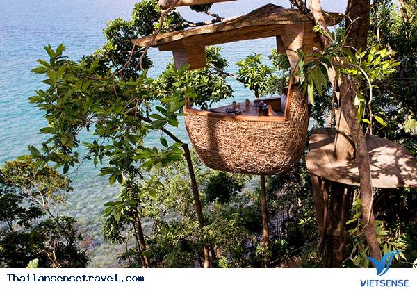 Trải nghiệm cảm giác mới lạ từ nhà hàng tổ chim tại Thái Lan - Ảnh 2 Trải nghiệm cảm giác mới lạ từ nhà hàng tổ chim tại Thái Lan - Ảnh 2